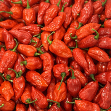 Ghost Pepper Seeds - The Pepper Pantry (Formerly Marie Sharp's)